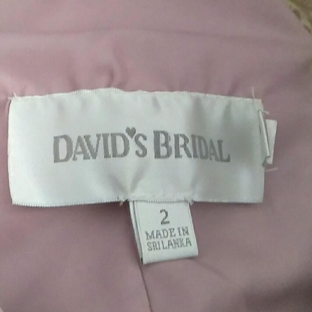 David's Bridal dress - Picture 5 of 5